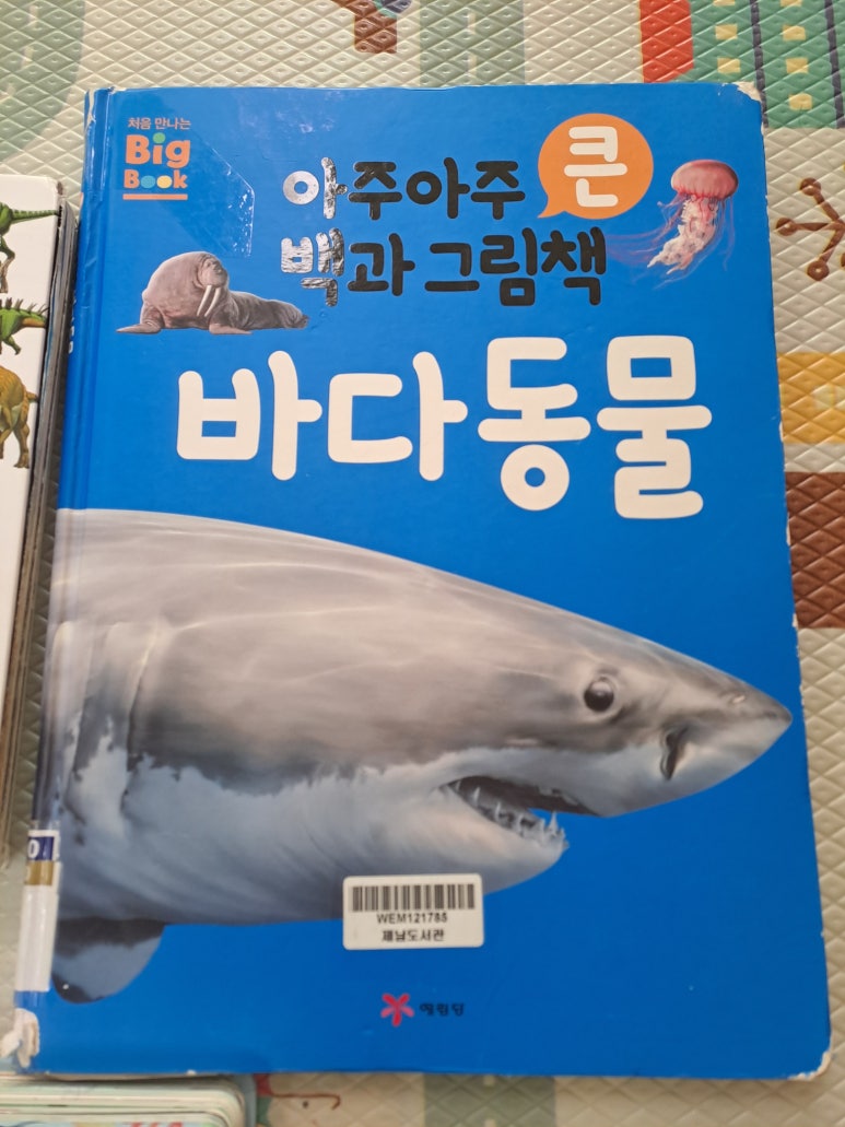 화북어린이집 이미지
