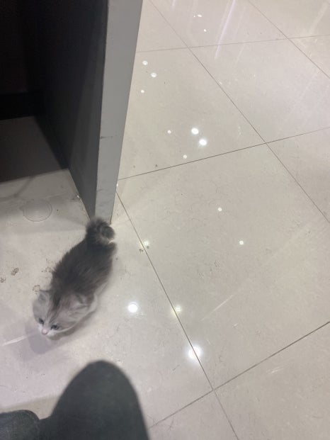 퍼스널헤어 이미지