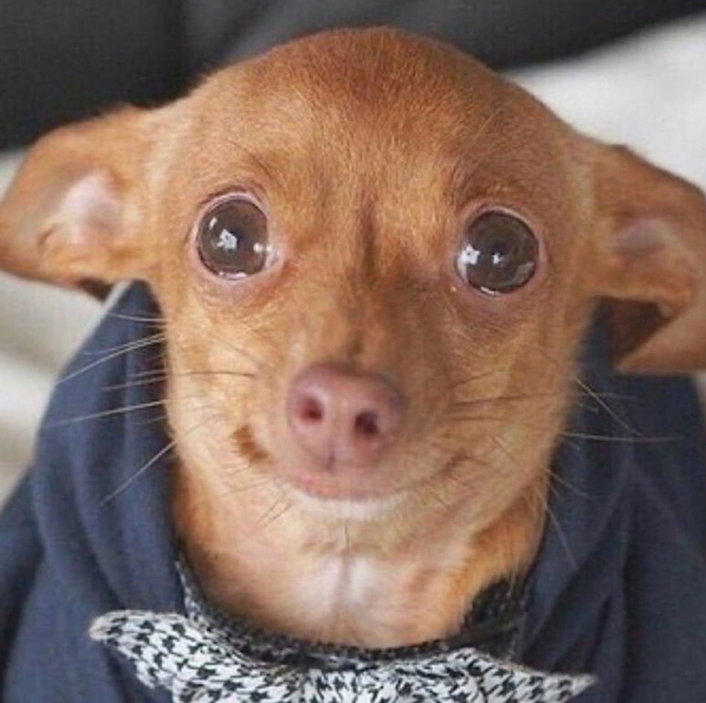 에스지투어 이미지