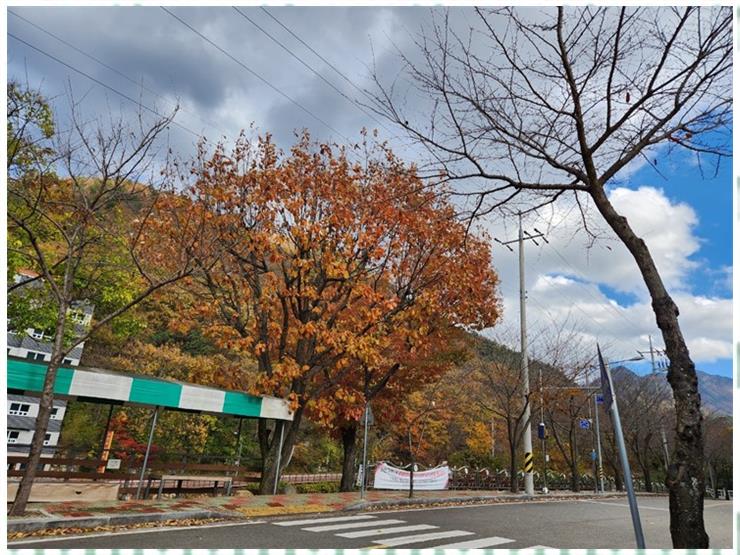 고향닭도리탕 이미지