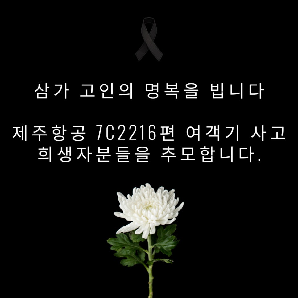 늘푸른크린 이미지