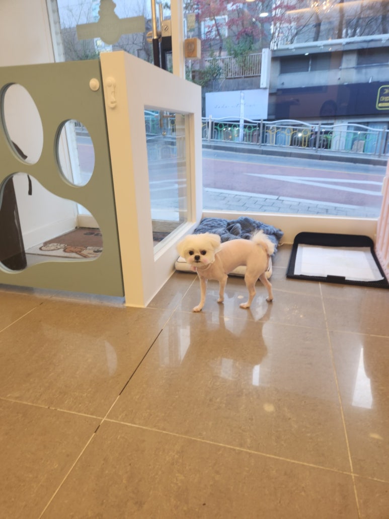 연두미용실 이미지