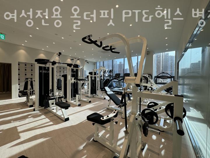 올더핏 이미지