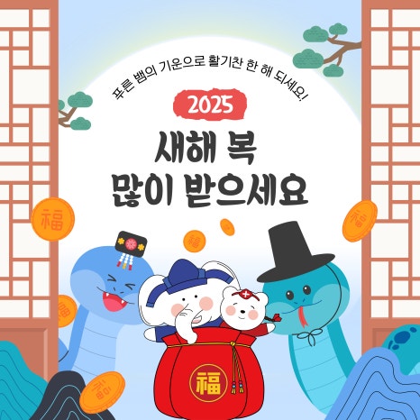 도리미디어 이미지