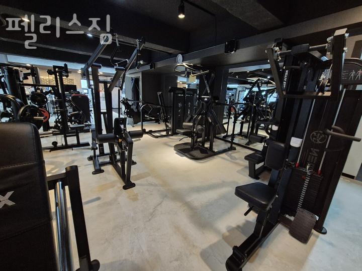 펠리스짐 이미지