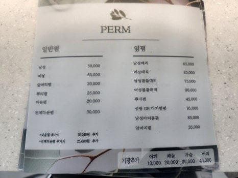 피오나헤어 이미지