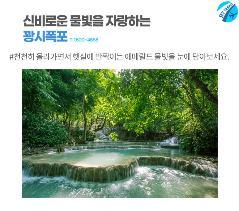 매일관광여행사 이미지