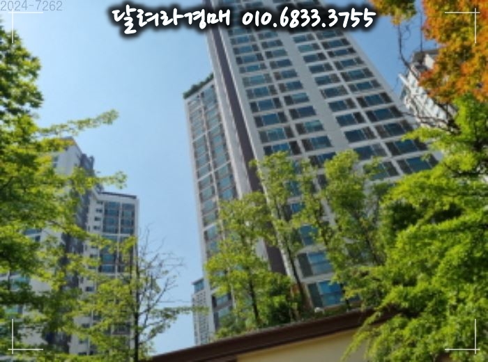 별빛논현 이미지