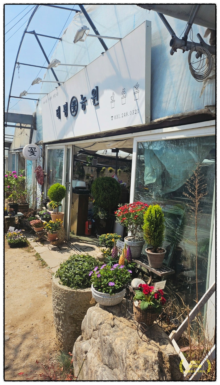수원꽃농원 이미지