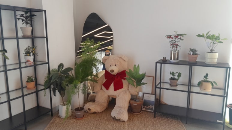 원주시 산림조합 이미지