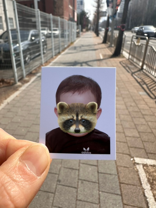 하이포토 이미지