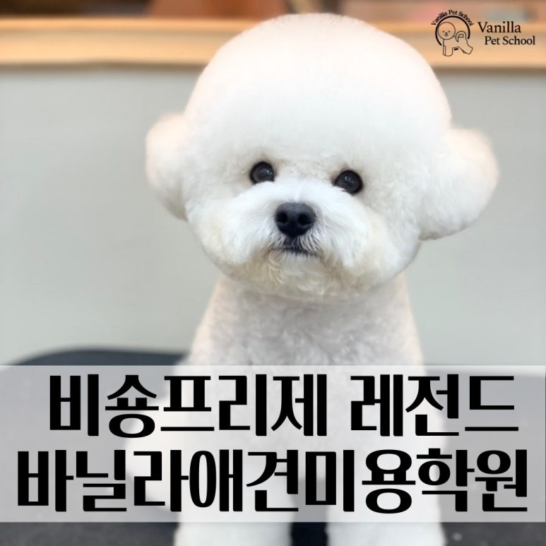 바닐라애견미용학원 이미지