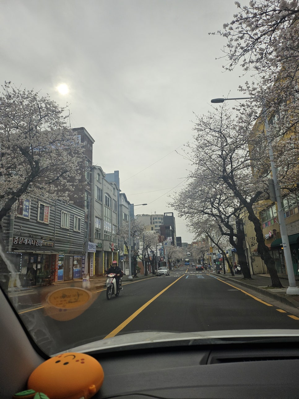 일성아로마 이미지
