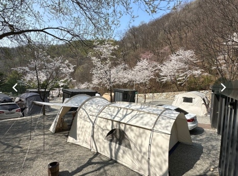 아우내 관광농원 이미지
