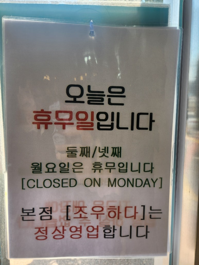 제주동백을담다 이미지