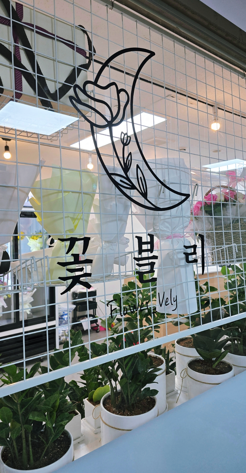 중앙아케이트 이미지