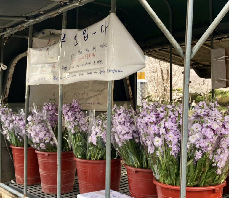 함께오래제과점 이미지