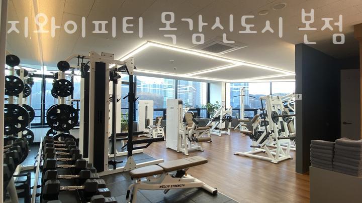 지와이 이미지