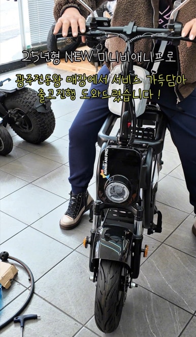 애니프로 이미지