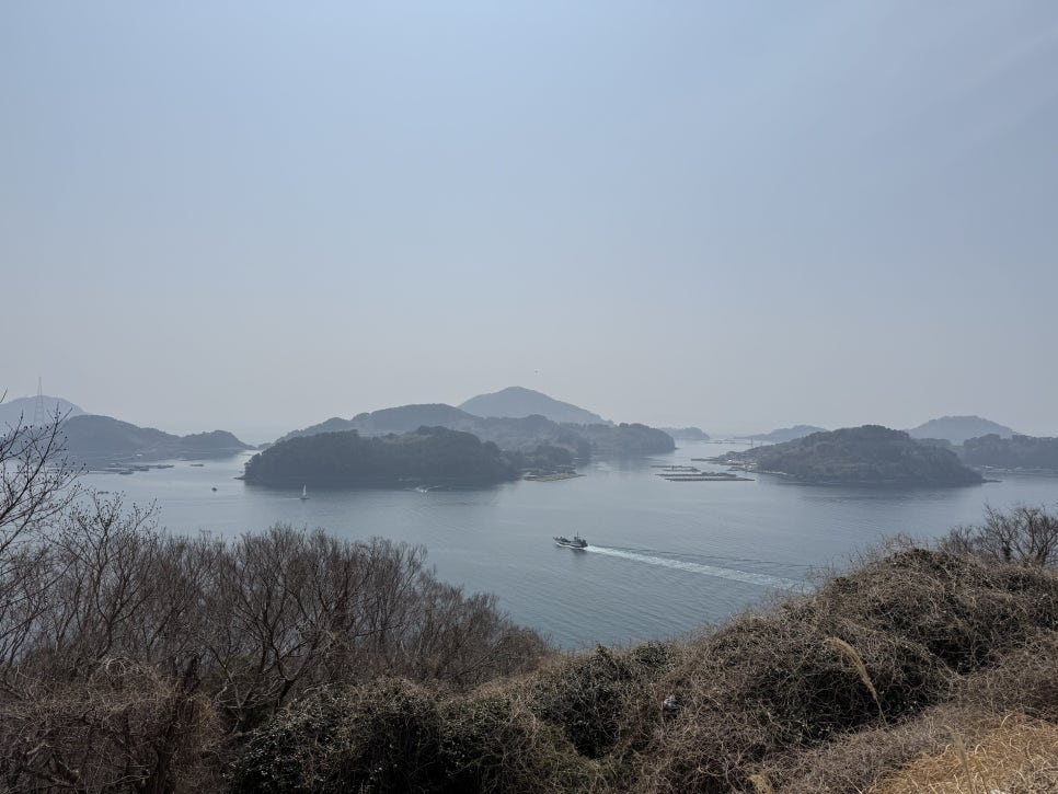 비진도수산 이미지