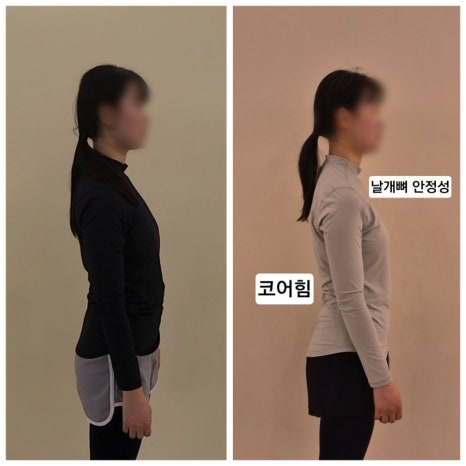 비벨라핏 이미지