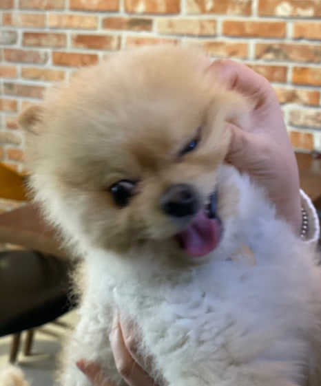 벌크커피순천조례점 이미지