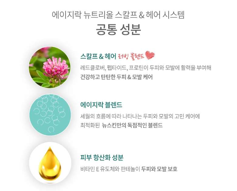 올시스템 이미지