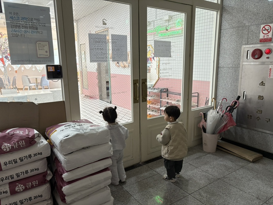 헬로밀가루대전 이미지