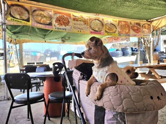 정희네식당 이미지