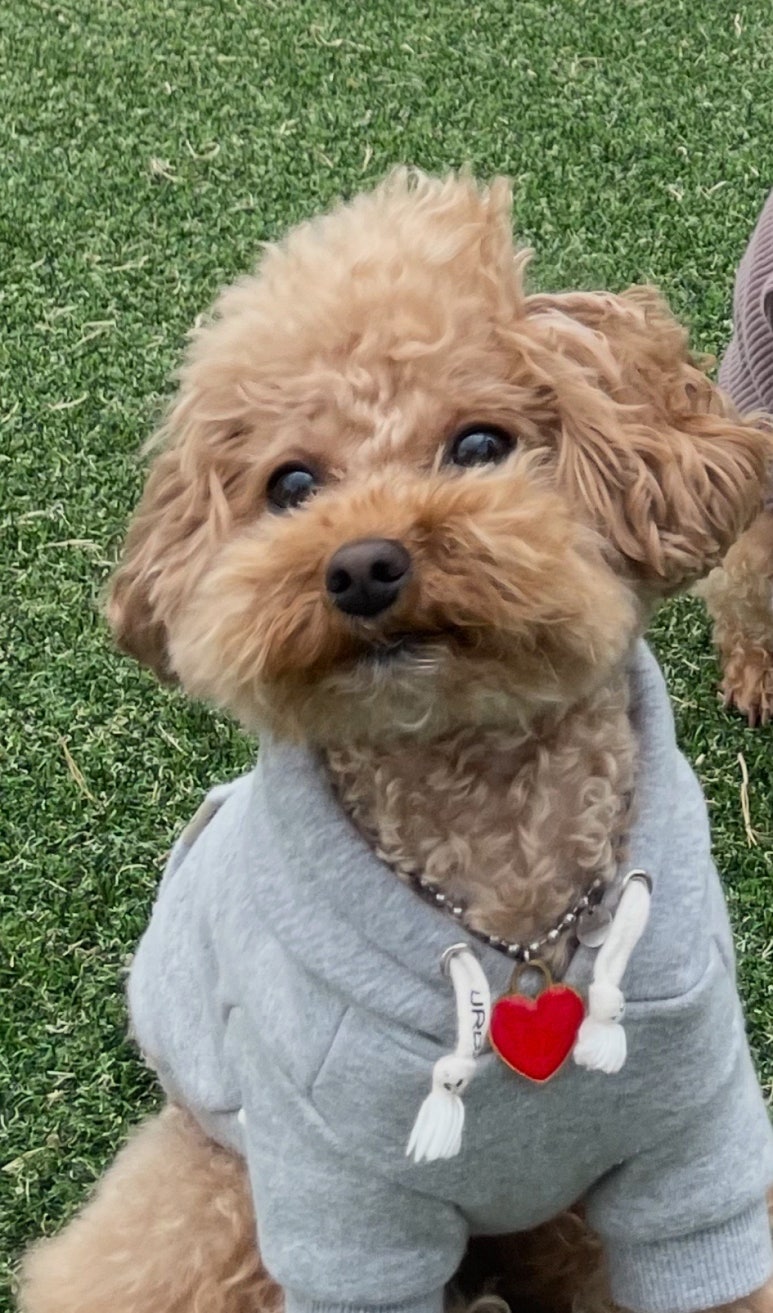 인호프포차 이미지