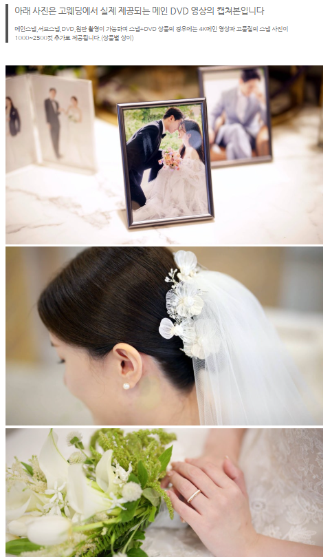고스냅DVD 이미지
