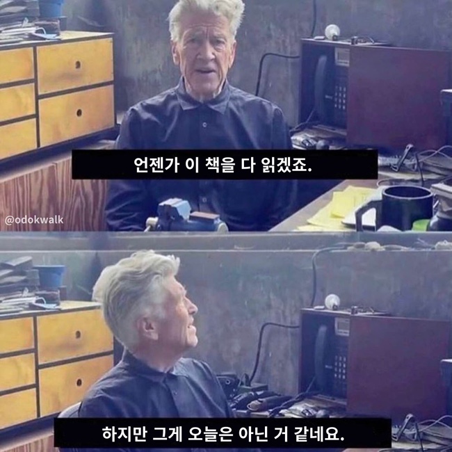 돼야지 이미지