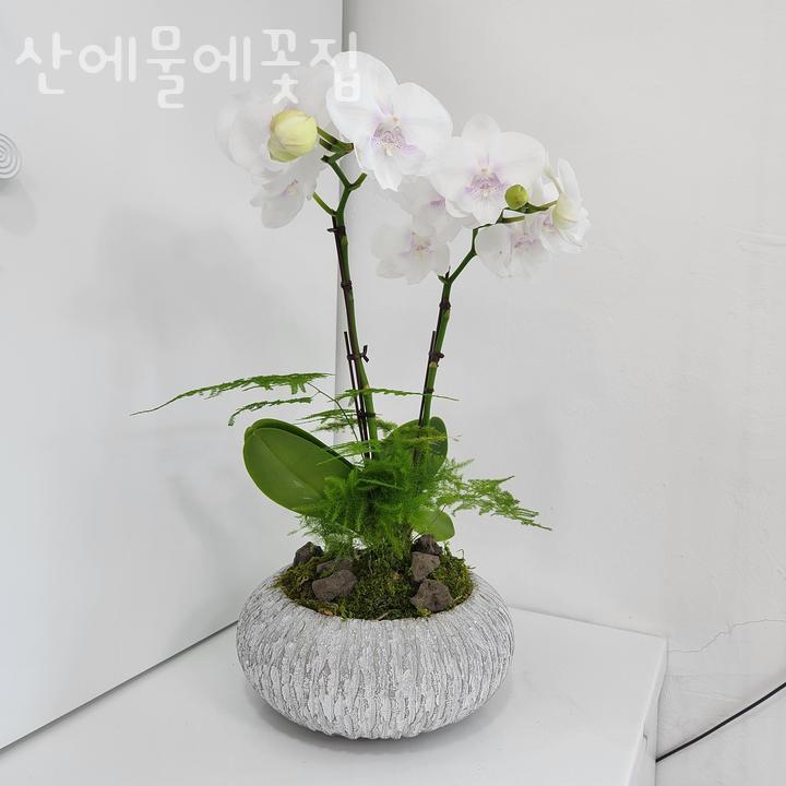 산에물에꽃집 이미지