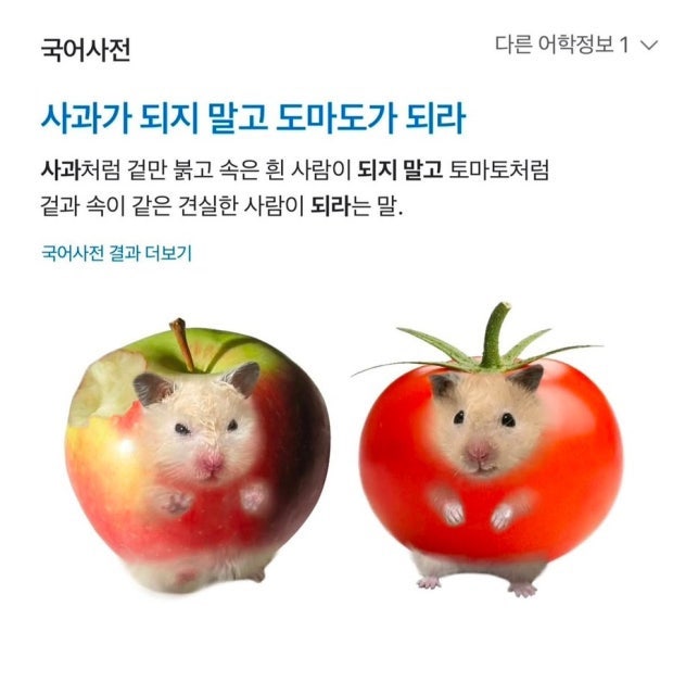 옹스옹스 이미지