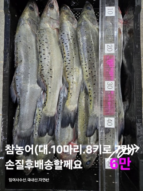 임여사수산 이미지