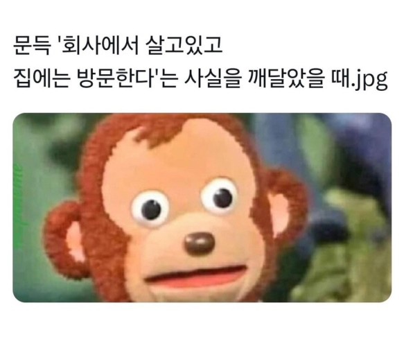 사랑다방 이미지