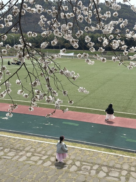 57정육식당 이미지