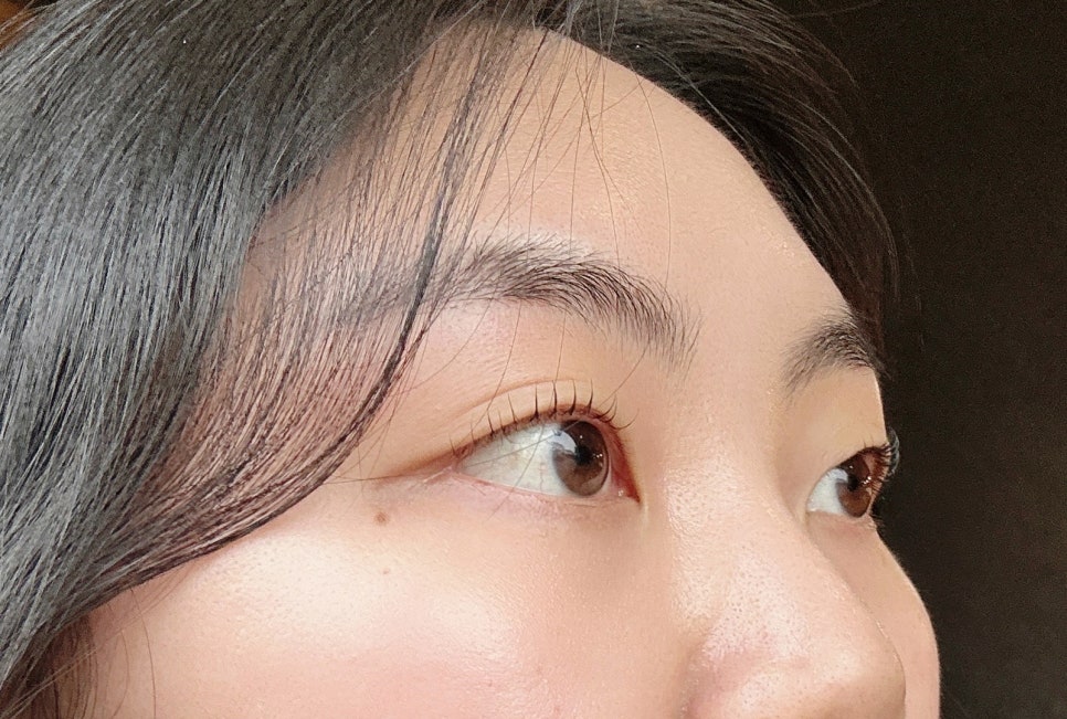 샵 다란 이미지