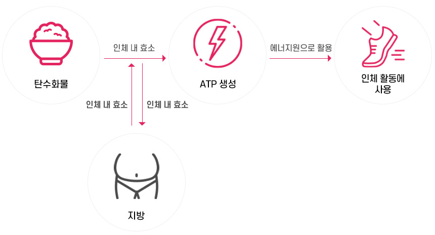 땀PT 이미지