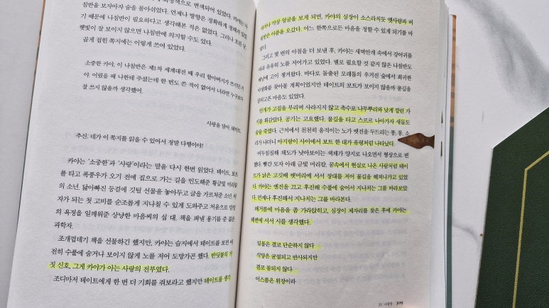 델리아 이미지