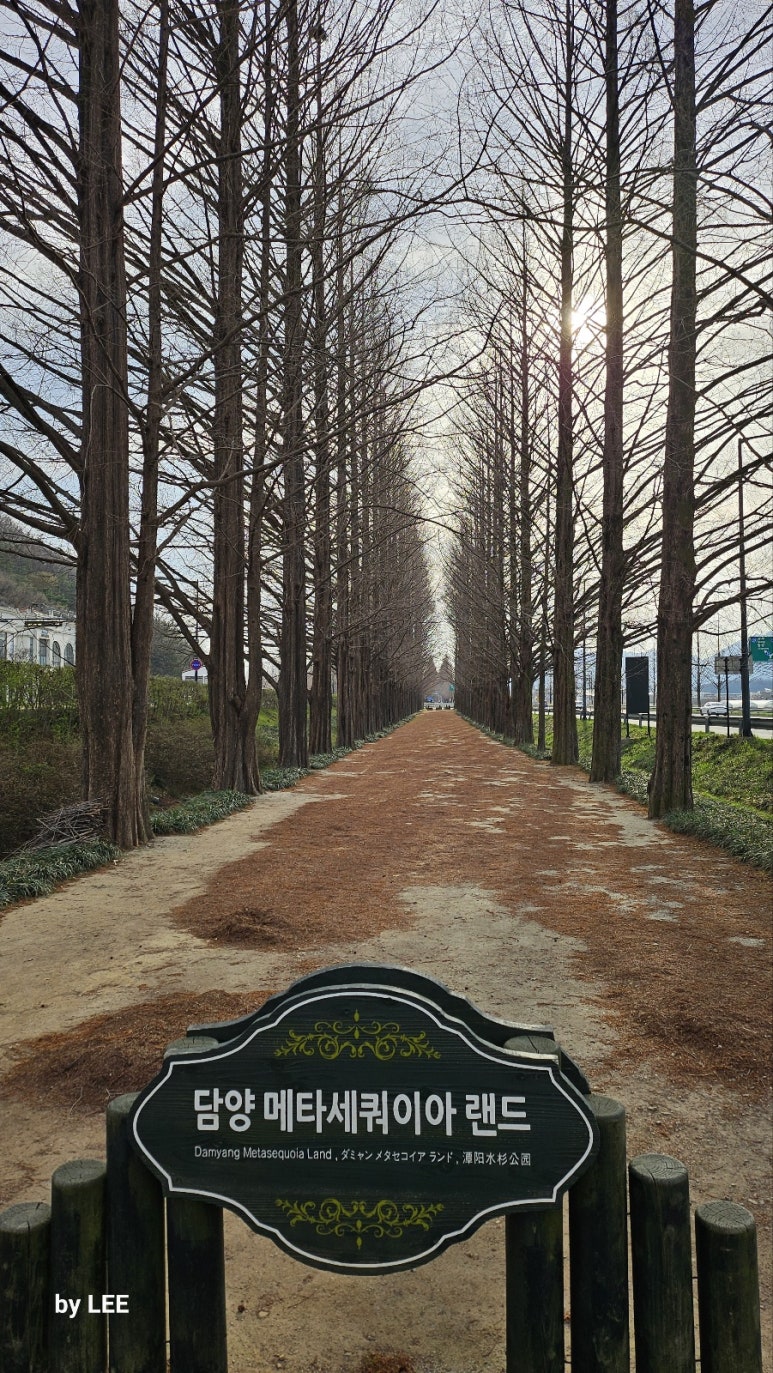 화산춘 이미지