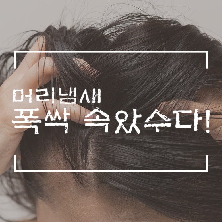 웰킨 이미지