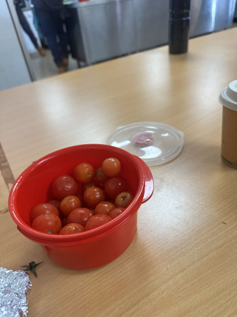 크립토마토 이미지