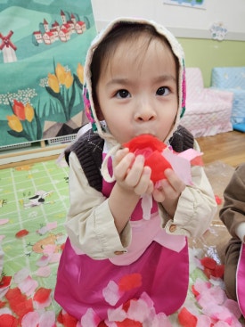뮤직카토 이미지