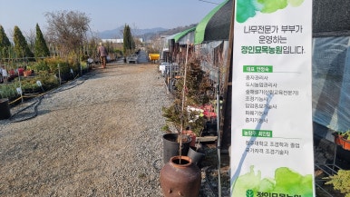 정인농원 이미지