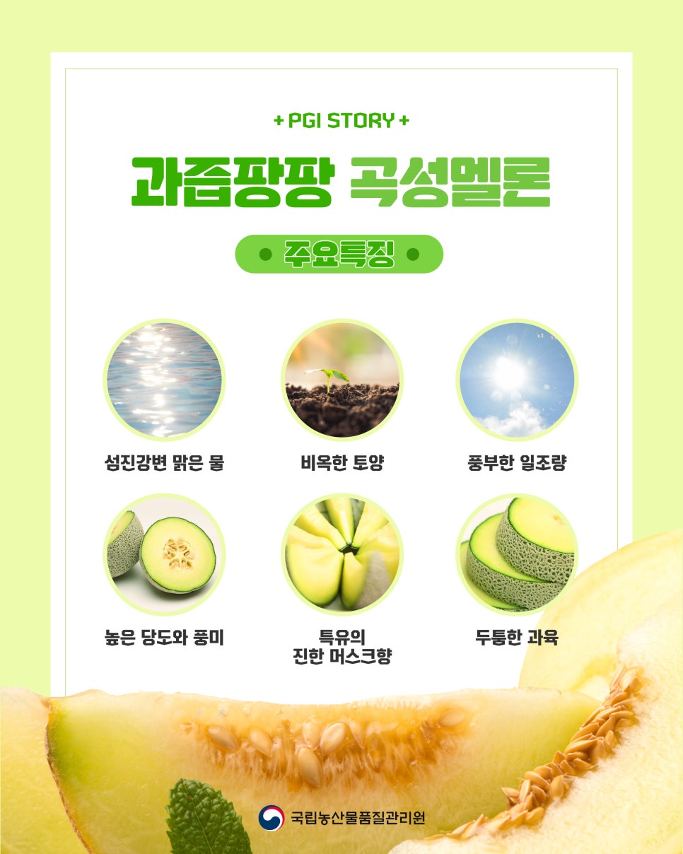 농업회사법인 곡성멜론주식회사 이미지