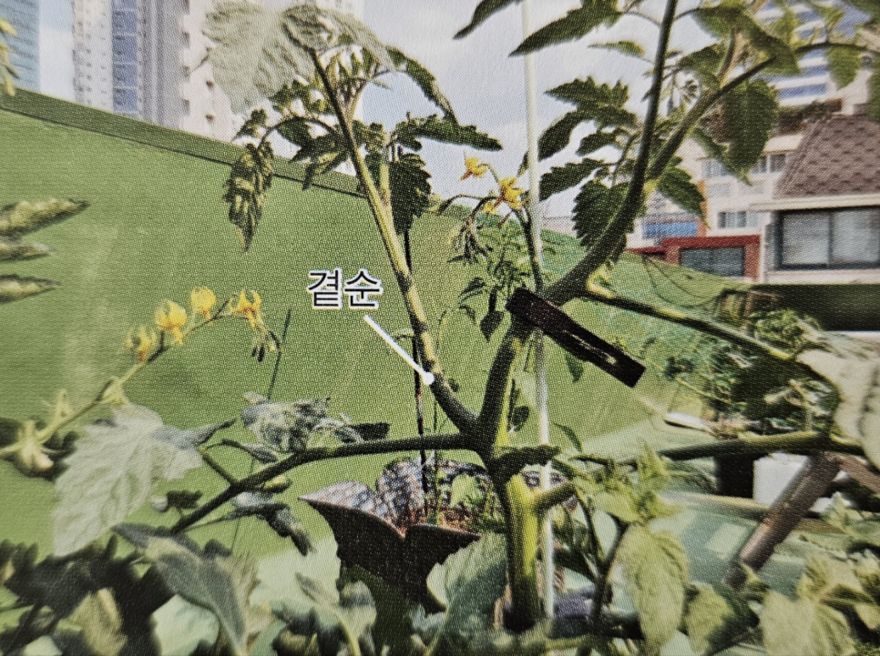 평내인력 이미지