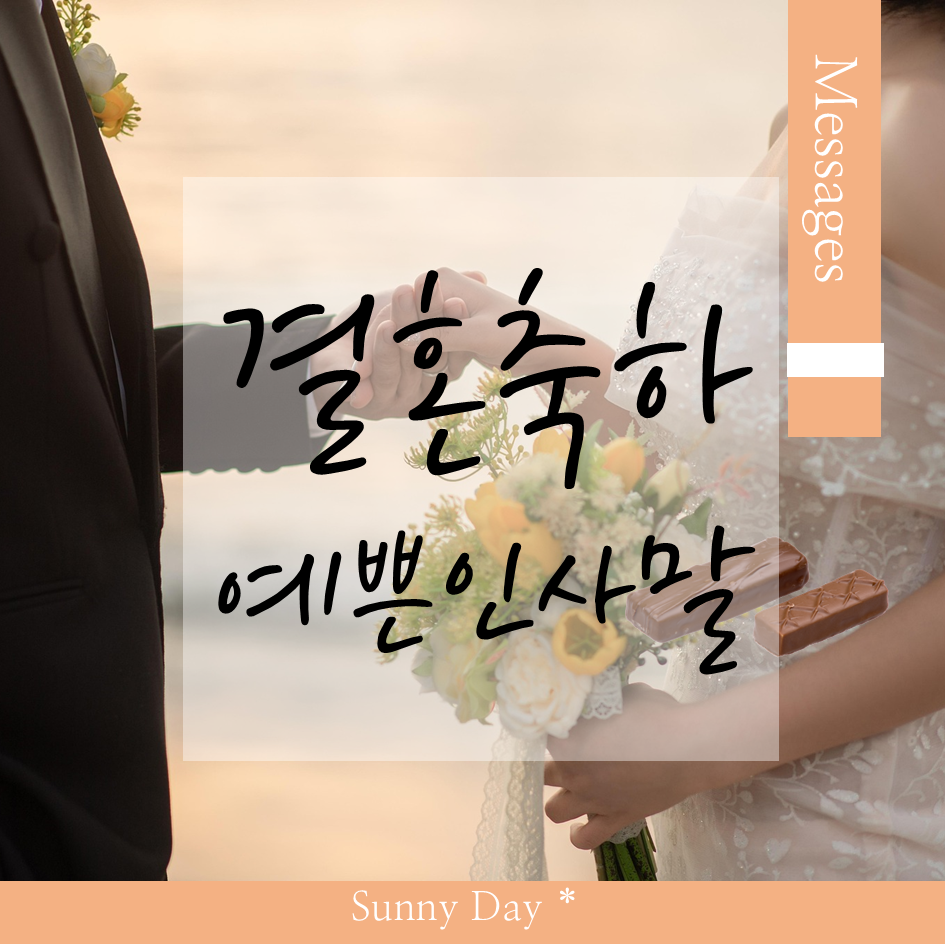 써니상사 이미지