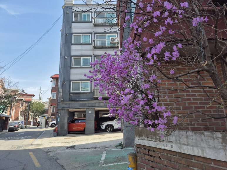 온누리유통포장마차 사진 2