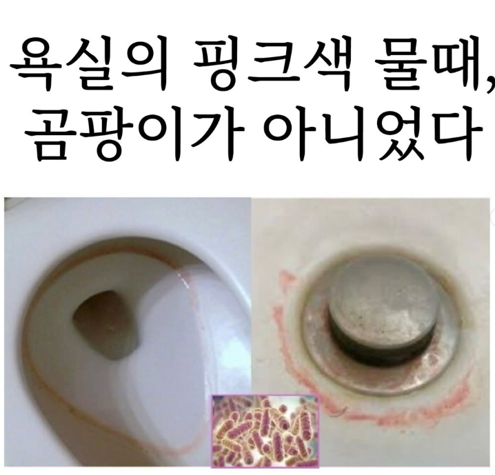 나노텐 이미지